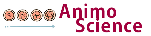 株式会社AnimoScience